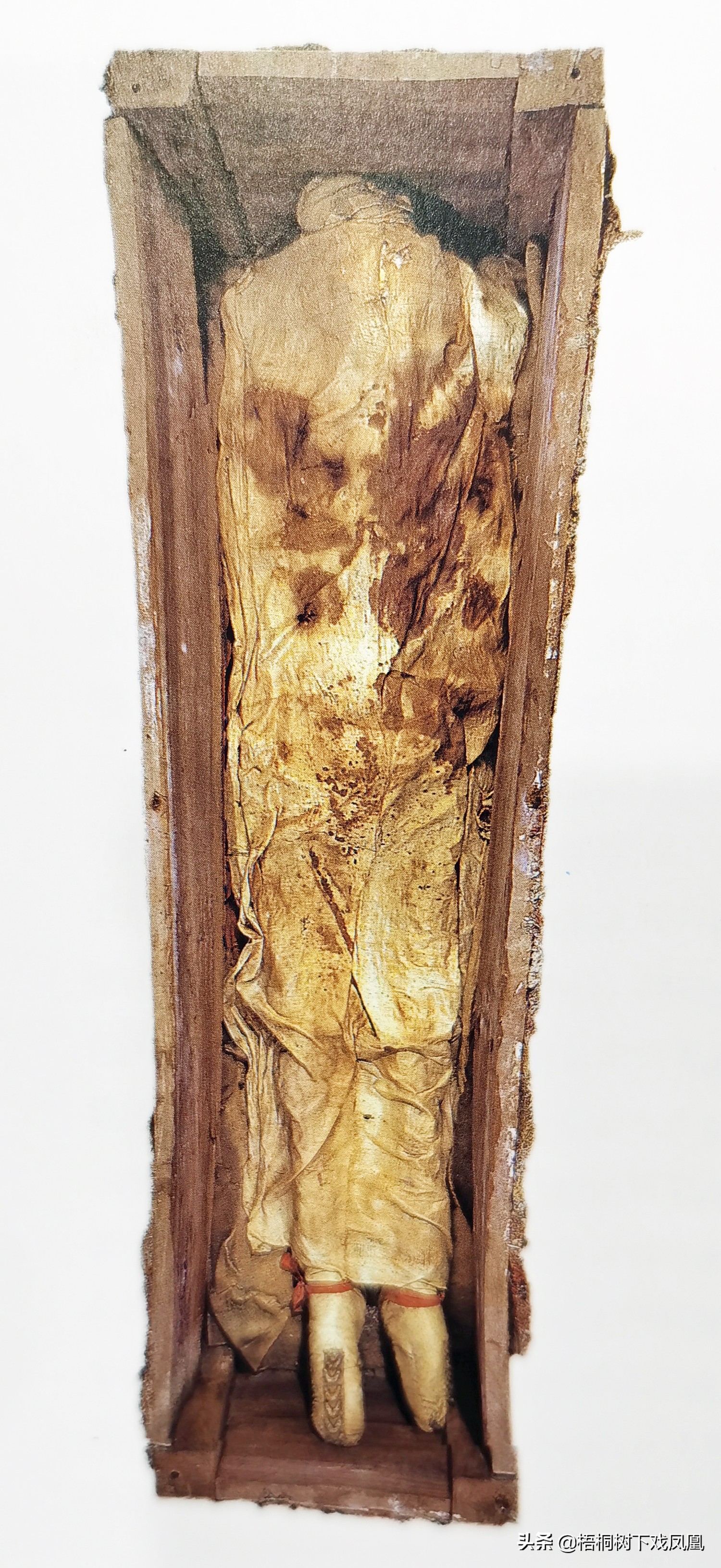 古墓现真容或为贵族墓,考古身高超高的尸骨