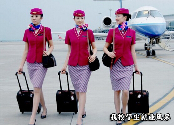 四川东星航空职业学院,成都市东星航空旅游职业学院