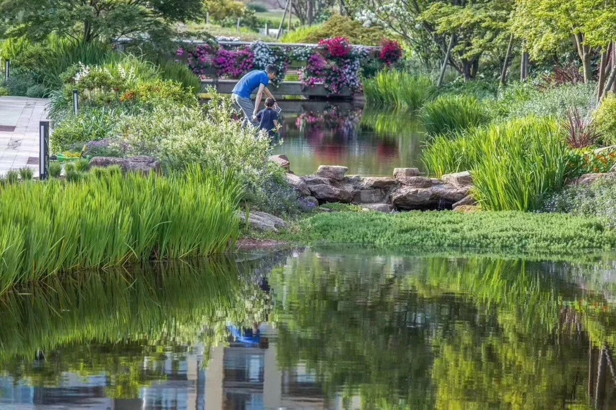 300w买麓湖豪宅,普通人买麓湖的机会