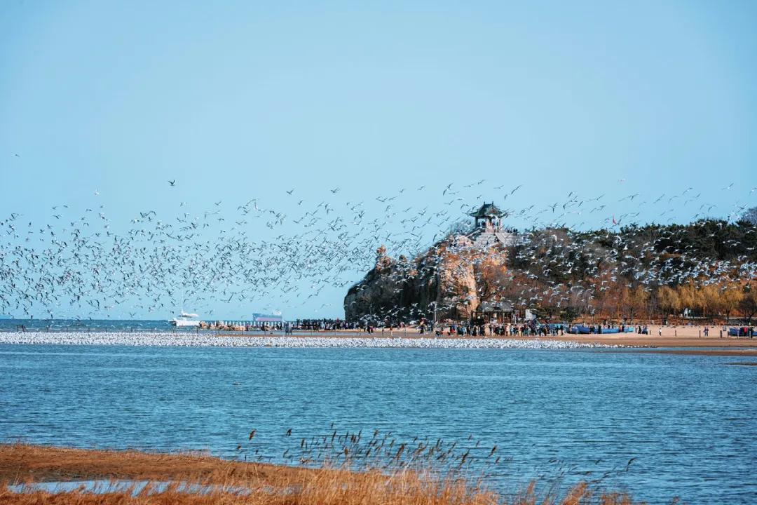 60岁前必去的中国各省区最美天堂,全国各省最美天堂你都去对了吗