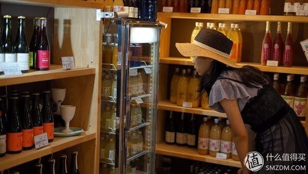 深度日本个人游攻略,日本旅游最后一日游攻略