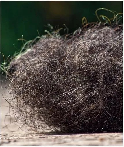 3s床垫哪家好,3s床垫多少钱一套