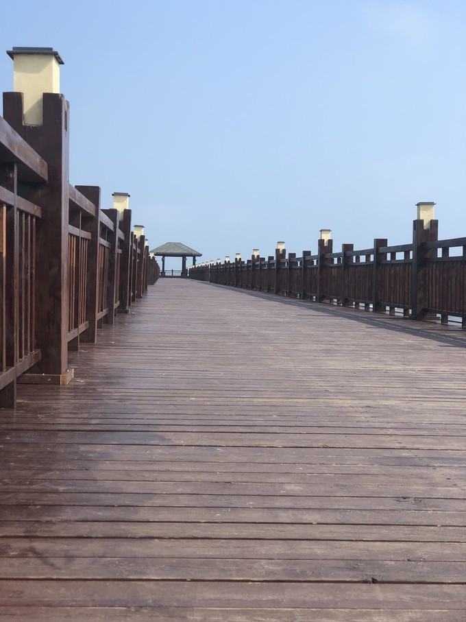 南戴河蔚蓝海岸亲子乐园,南戴河远洋蔚蓝海岸攻略