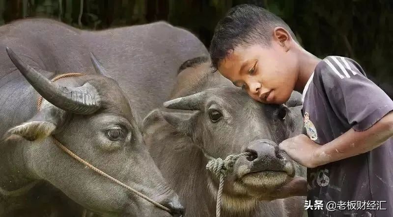 中国县城社会现状,中国县城发展情况