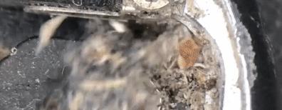 你的手机干净么,手机脏了正确清理方法