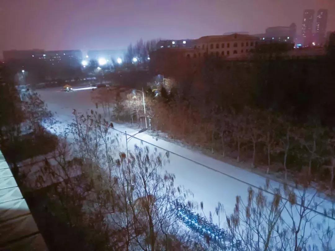 辽宁中医药大学杏林学院规模,辽宁中医学院杏林学院的排名