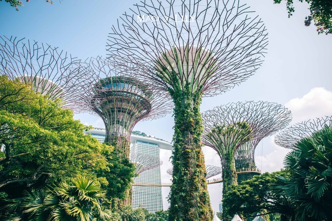 世界级名侦探柯南,日本排行榜第一的名侦探柯南