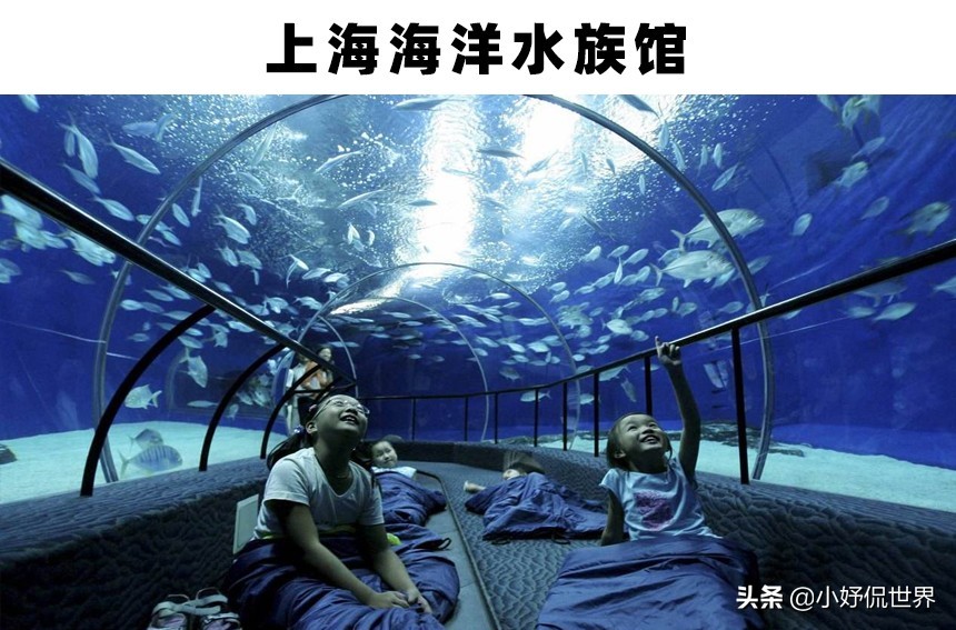 全球最大的三个大型水族馆,世界最著名的淡水水族馆