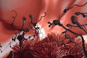 男人一生只能射精6000次？女人只能排400个卵子？看完长见识了