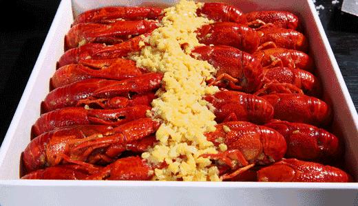 怎样去保证小龙虾的养殖存活率,小龙虾养殖技术怎样养殖小龙虾