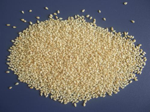 饵料加芝麻粉钓鱼效果好吗,花生芝麻拌饵料钓鱼