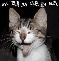 炎炎夏日来一段笑话,炎热酷暑加点清凉笑话