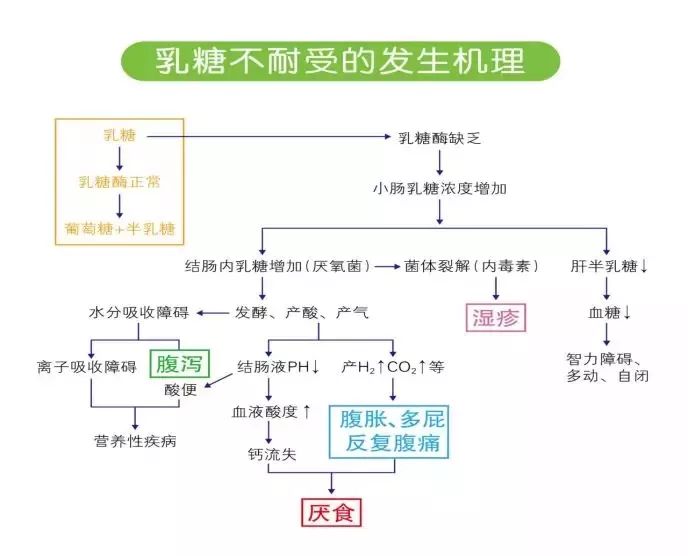 乳糖不耐受腹泻奶粉推荐,腹泻奶粉哪个牌子好去乳糖