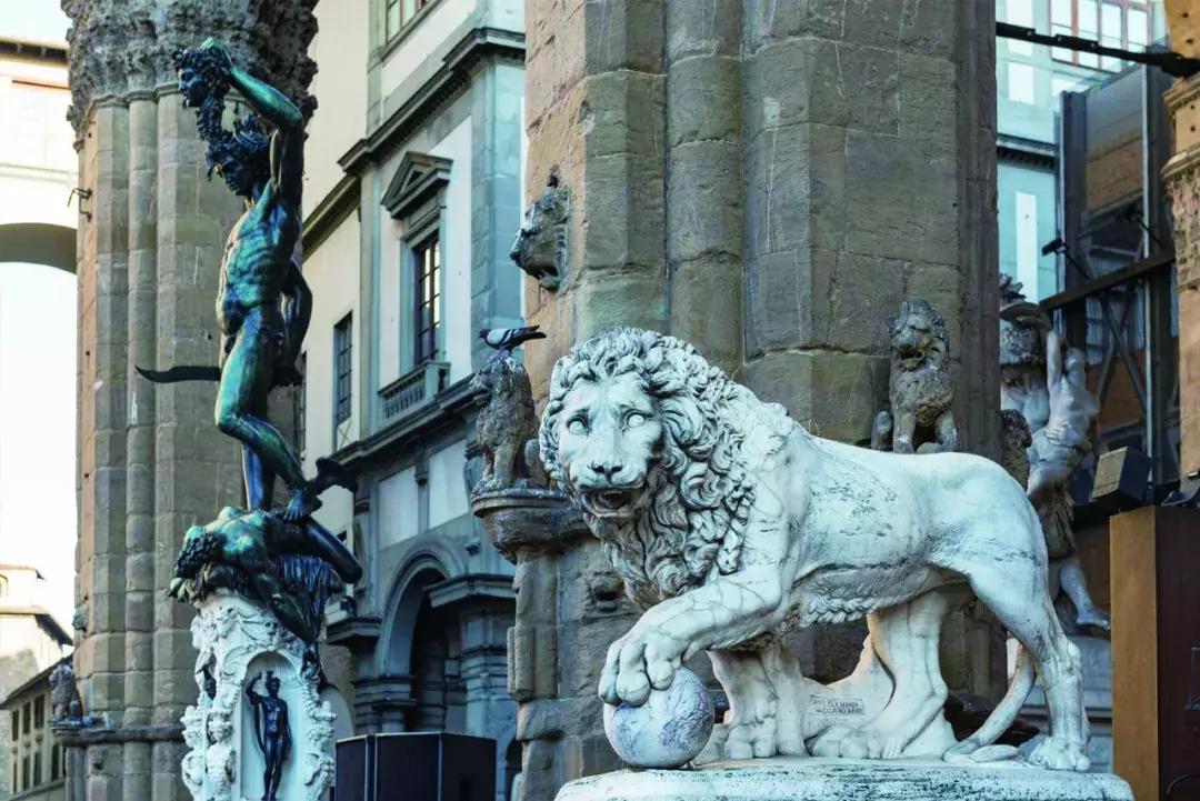 狮子山下,狮子迁徙几千公里