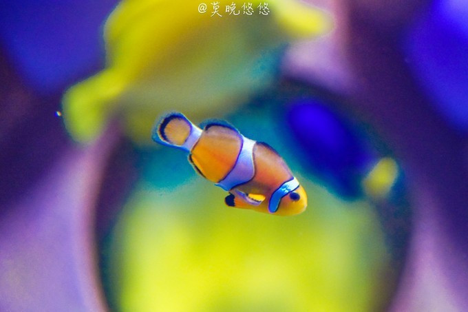 七星级酒店亚特兰蒂斯,三亚七星级酒店亚特兰蒂斯门票