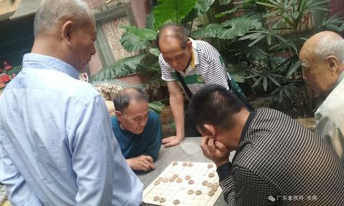 有钱没钱回家过年，就这样被困在湖北老家过着网上下象棋的日子