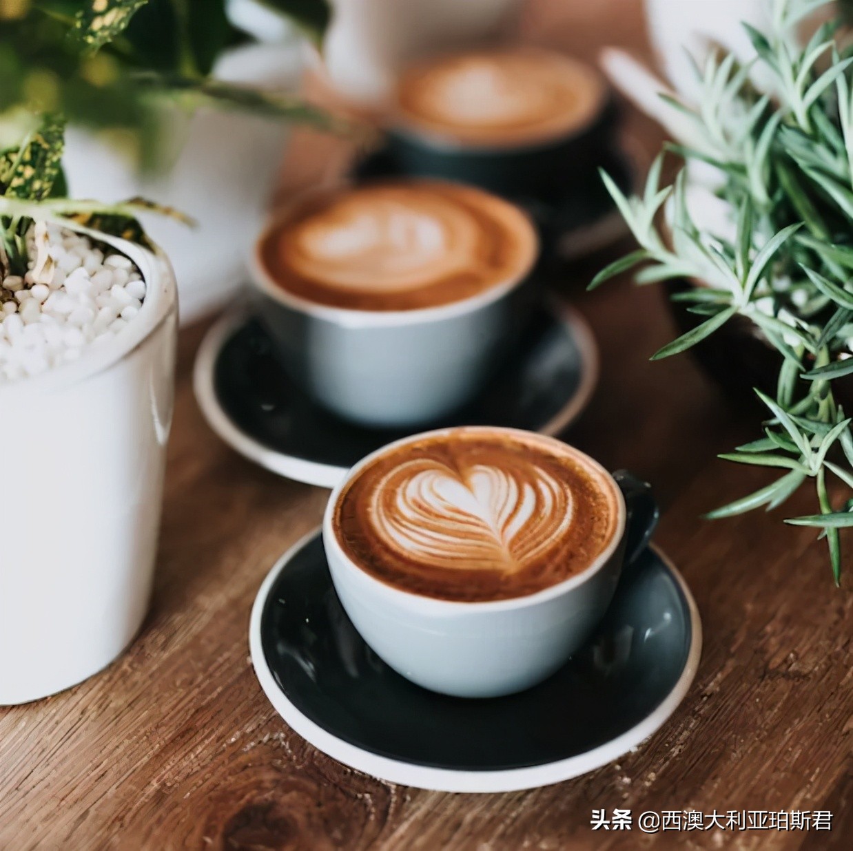 这个梗火爆全网？既然提到privilege，那就说说西澳人的高傲在哪