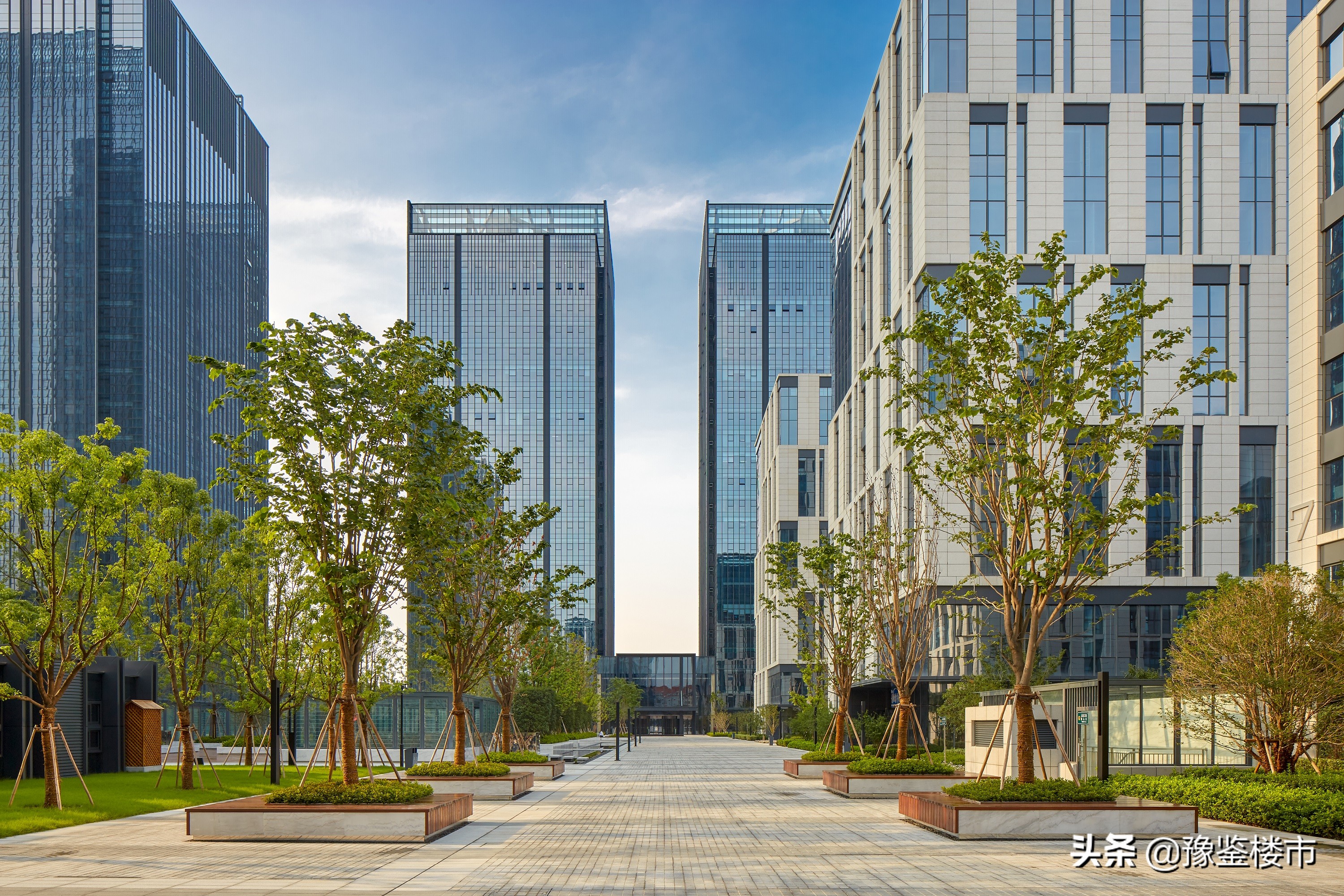 郑州正商最新事件,正商为什么那么多