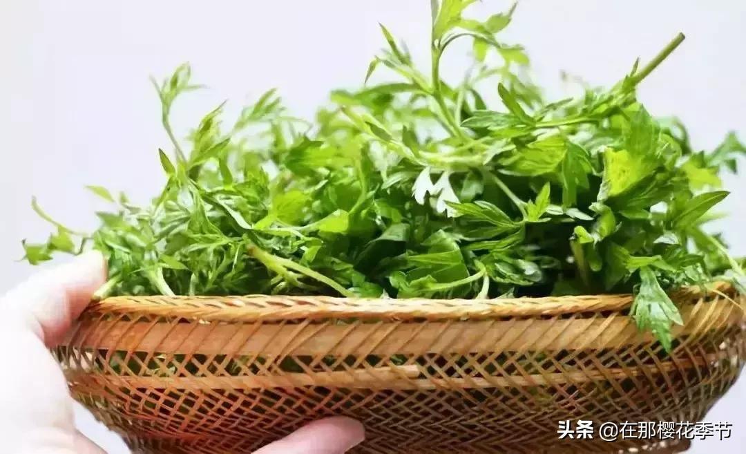 一位客家妈妈用艾草煮水给儿子洗澡，结果万万没想到.
