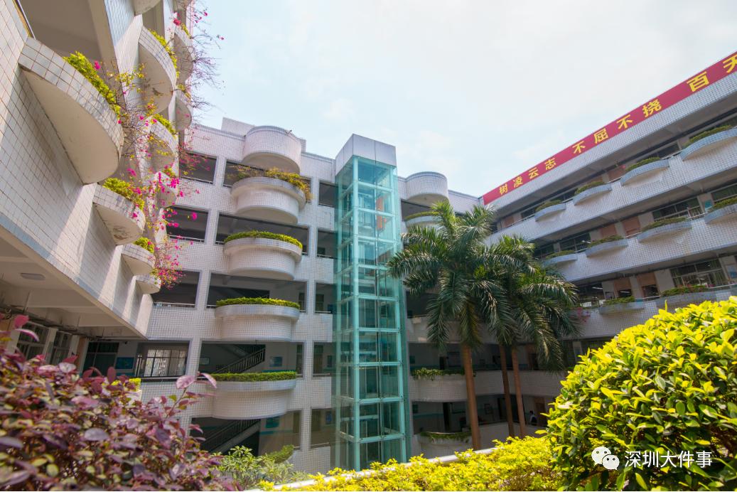 深圳中学牛娃,深圳牛蛙聚集地