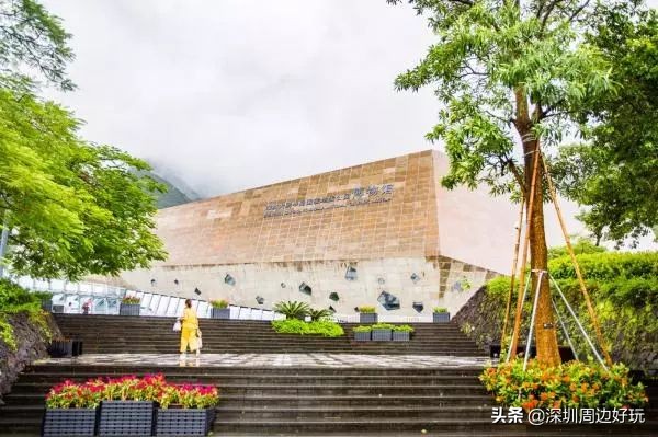 深圳白天游玩公园景点推荐,深圳红树林公园日落