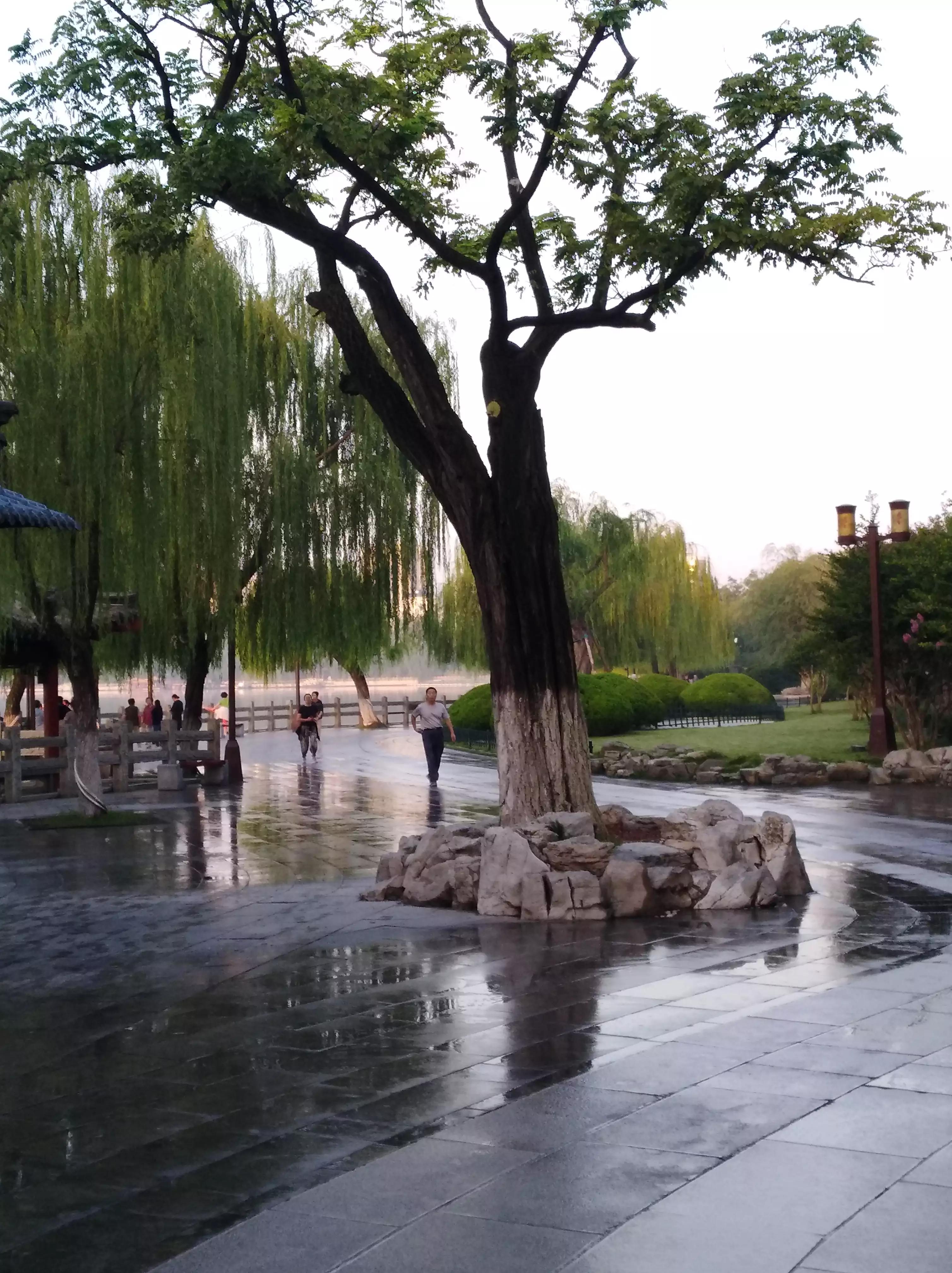 多彩的秋天绘本故事,多彩的秋天绘画