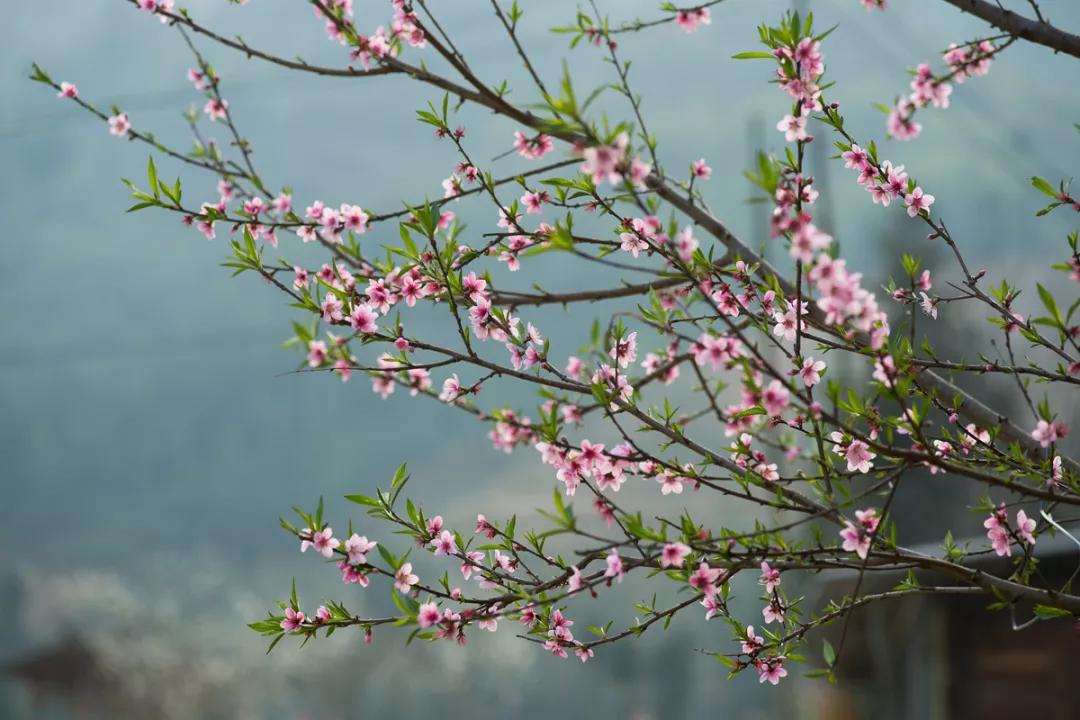 风生水起全靠自己壁纸,风生水起全靠自己完整句子