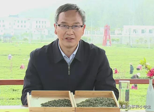 湖北茶叶加工业市场分析,茶叶产业发展情况的调查报告