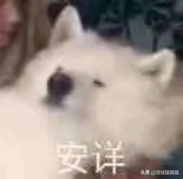 学会这个技能就能赚钱,学会就能赚钱的技能