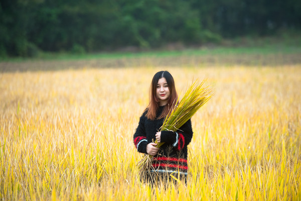 鄱湖之滨美景图,鄱阳湖之滨