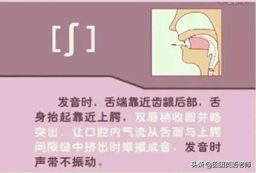 48个英语国际音标发音表图片,英语48个音标发音附详细图解视频