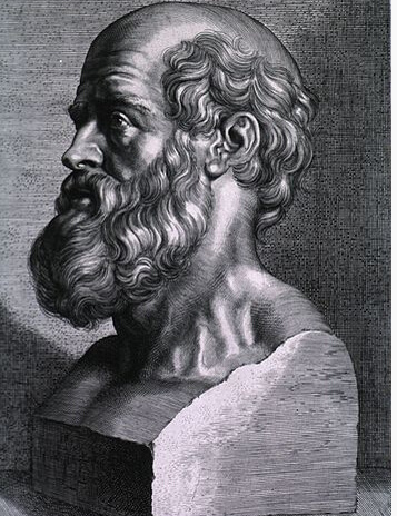 【树说】第二期-血疗