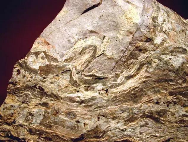 常见岩浆岩识别记录表,常见岩浆岩的认识和鉴定实验报告