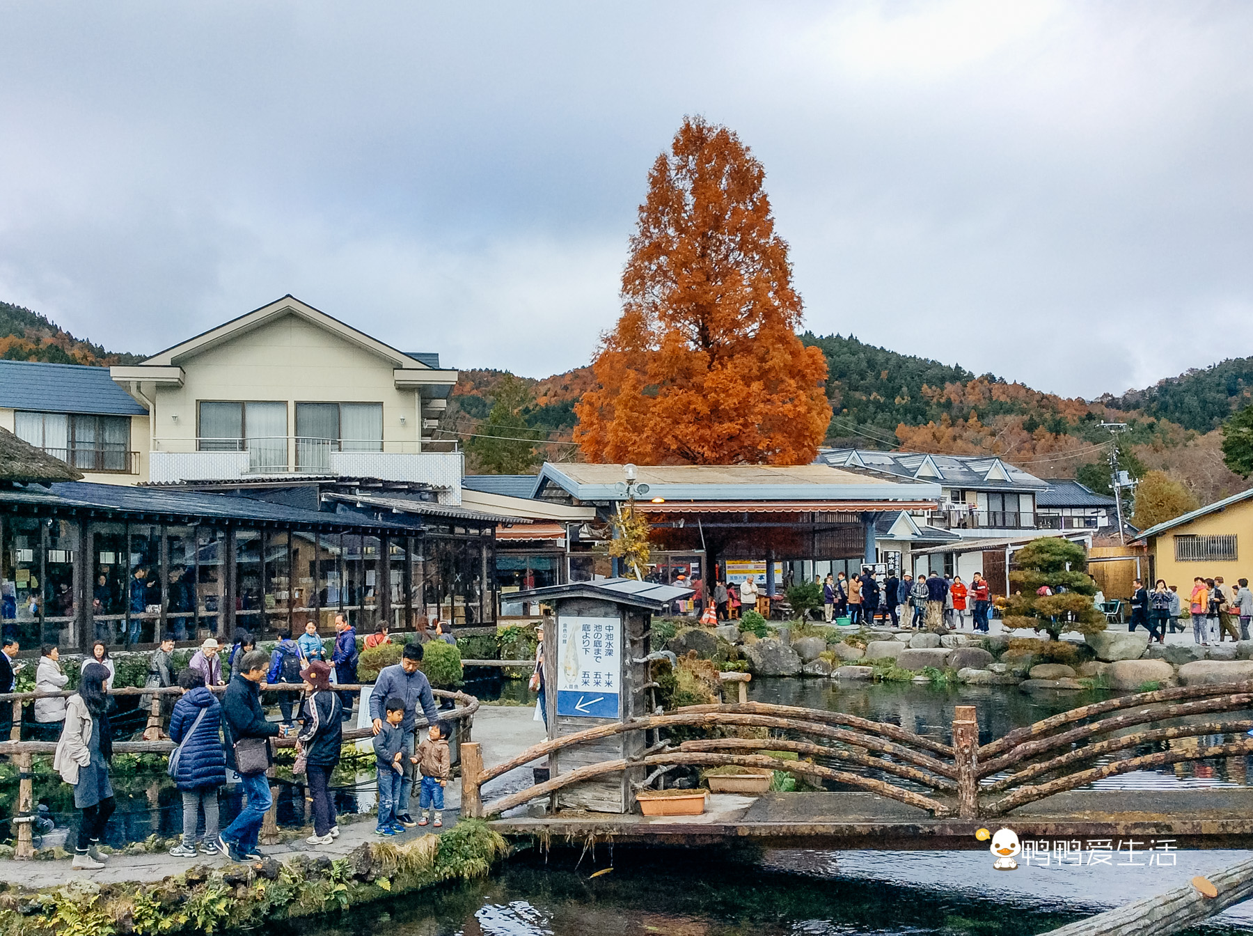 日本“小九寨”藏在富士山下,5月起繁花盛开,还能把泉水带回家