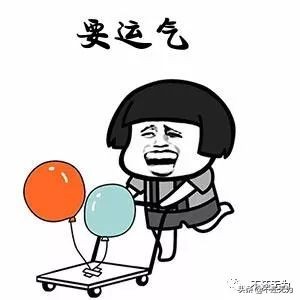 养宠物猴子,养宠物为什么不能养猴子