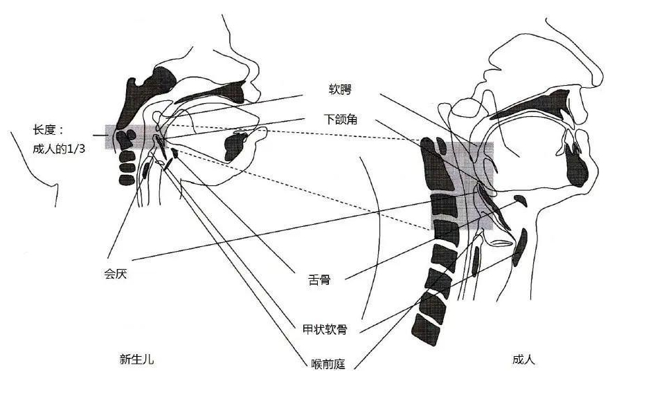 每天吞口水的次数是多少次,口水无法自行吞咽越积越多