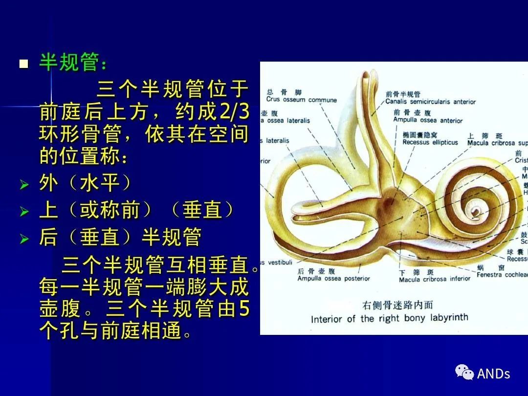 六问法—良性阵发性位置性眩晕（BPPV）诊断