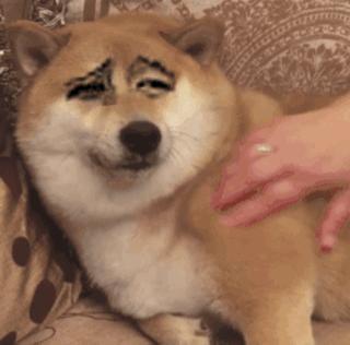 揭秘互联网比较常见的网赚骗局,知识分享割韭菜新套路