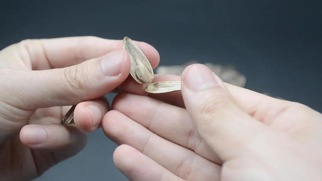 剥瓜子用手扣,剥花生别再用手抠了