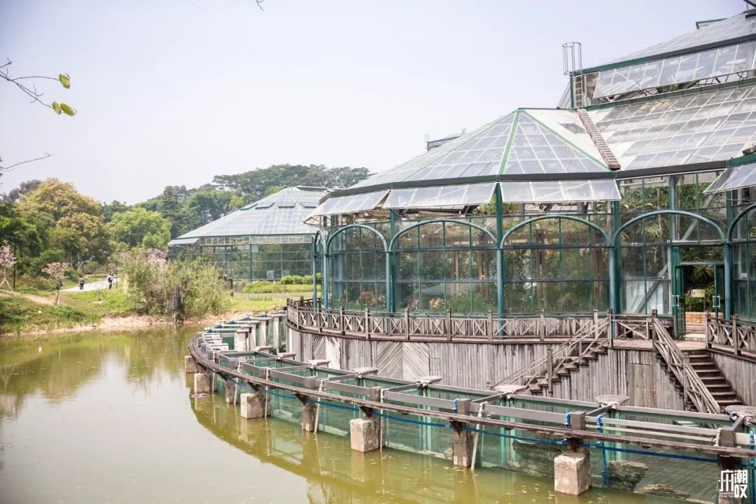 300+万㎡原始森林秘境，天河就有