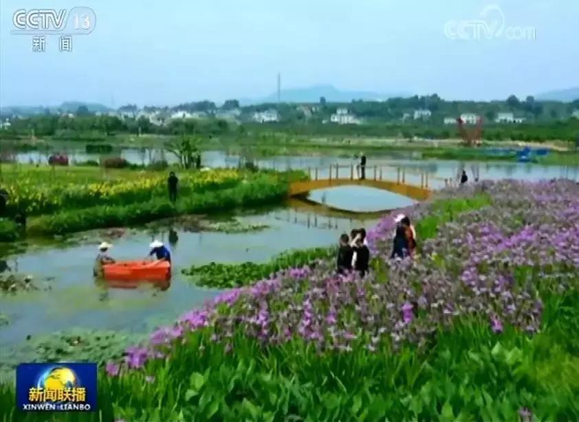 三峡大学的综合实力在全国排名,三峡大学有院士吗