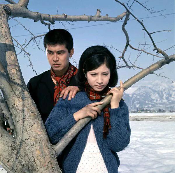 日本渡哲也,渡哲也秀吉