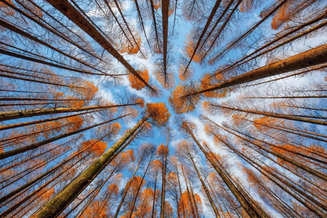 60岁前必去的中国各省区最美天堂,全国各省最美天堂你都去对了吗