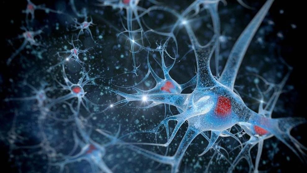 国内第一套完整的思维导图教程,思维导图入门怎么学