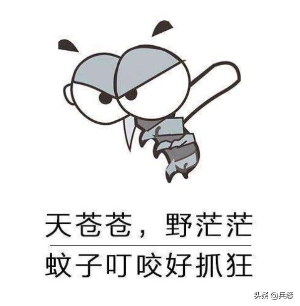 关于蚊子的知识介绍笔记,关于蚊子的知识幼儿园