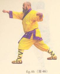 少林心意门拳视频教程,少林长护心意拳图解