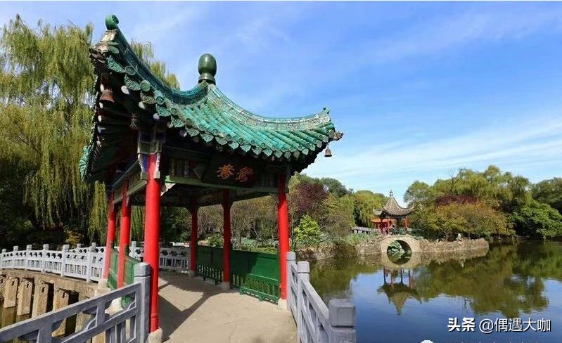 深圳晶中电子科技有限公司总经理——杨冰玉