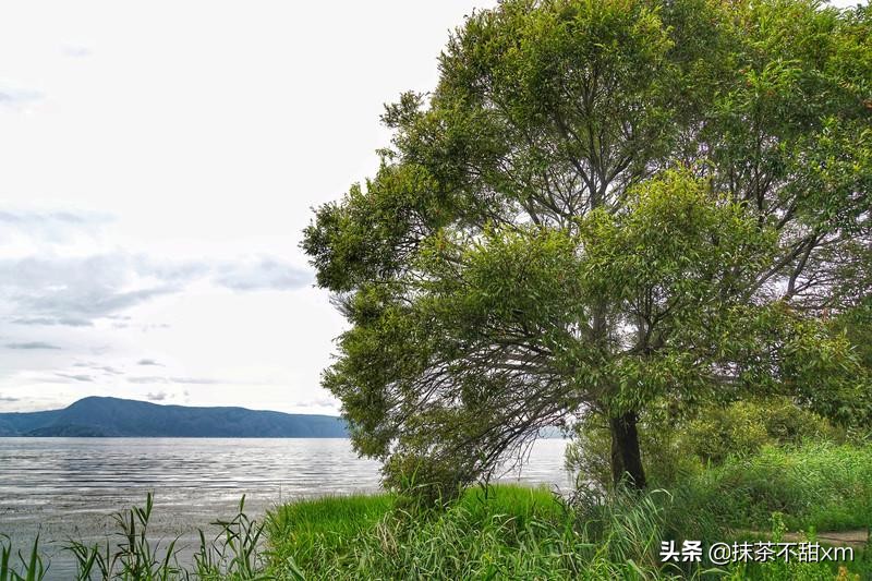 云南旅游自由行攻略昆明大理丽江,云南大理丽江旅游攻略6天5晚