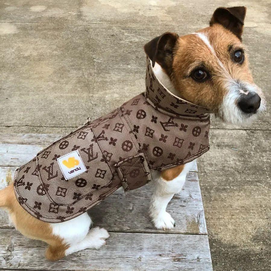 碧梨是什么牌子,碧梨是假货吗