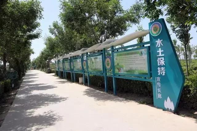 大荔县示范村名单,大荔县10个村